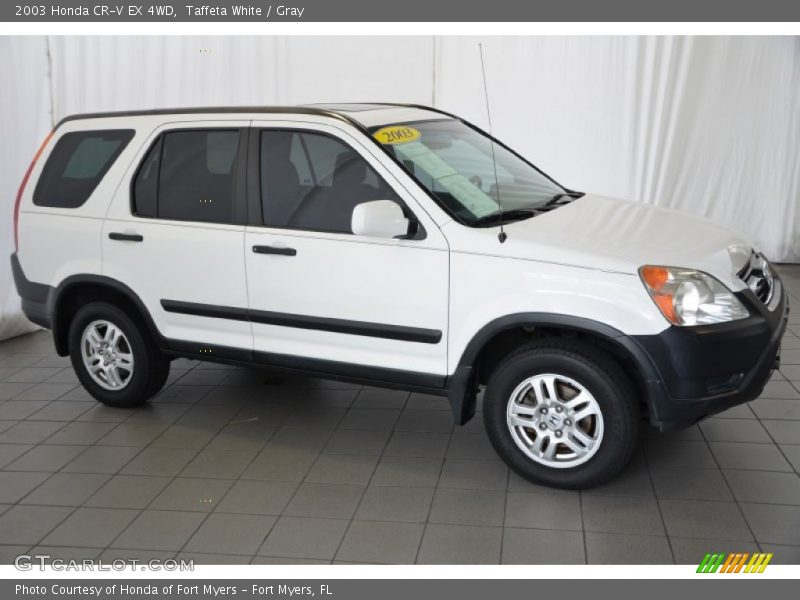 Taffeta White / Gray 2003 Honda CR-V EX 4WD