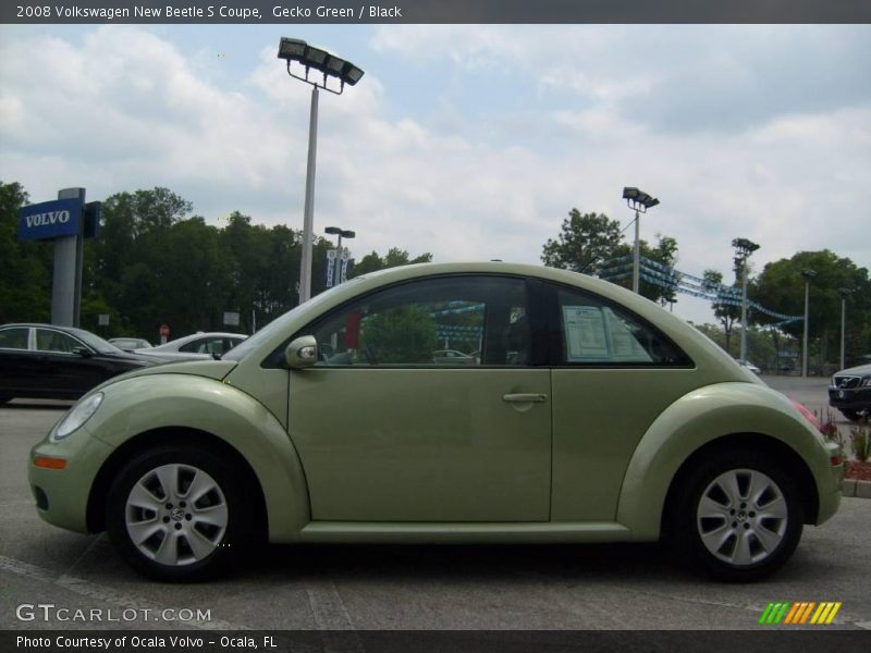 Gecko Green / Black 2008 Volkswagen New Beetle S Coupe