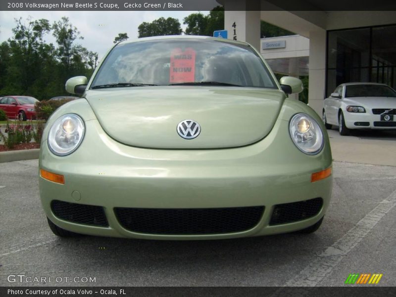 Gecko Green / Black 2008 Volkswagen New Beetle S Coupe