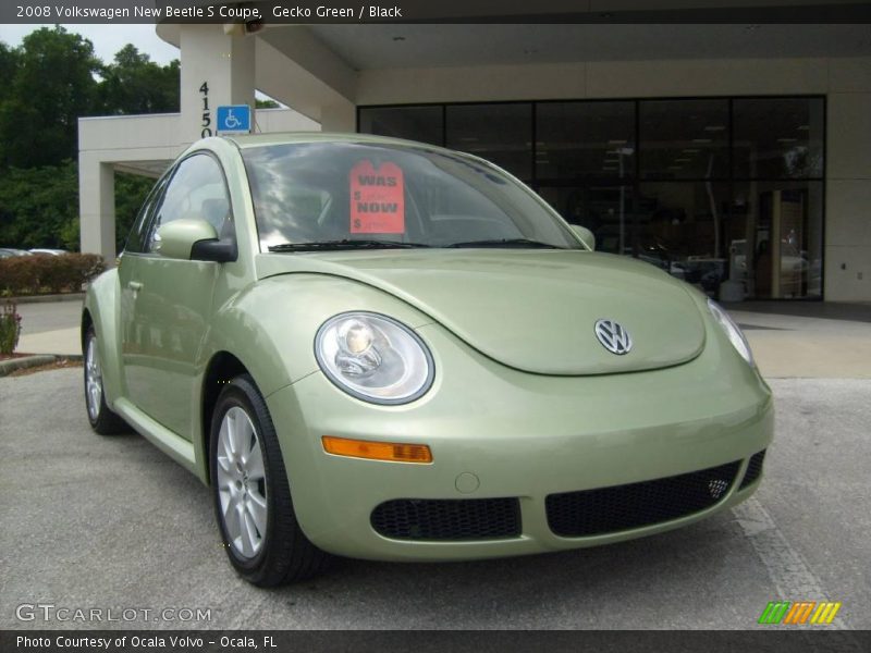 Gecko Green / Black 2008 Volkswagen New Beetle S Coupe
