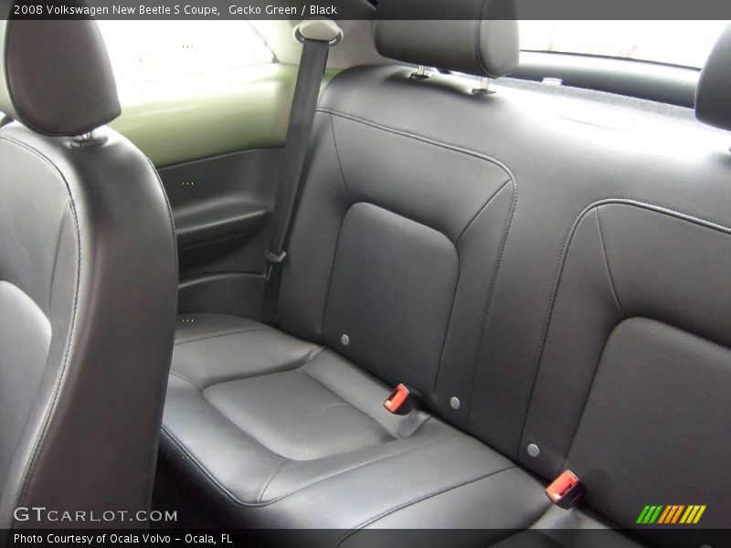 Gecko Green / Black 2008 Volkswagen New Beetle S Coupe