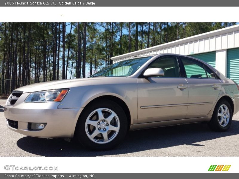 Golden Beige / Beige 2006 Hyundai Sonata GLS V6