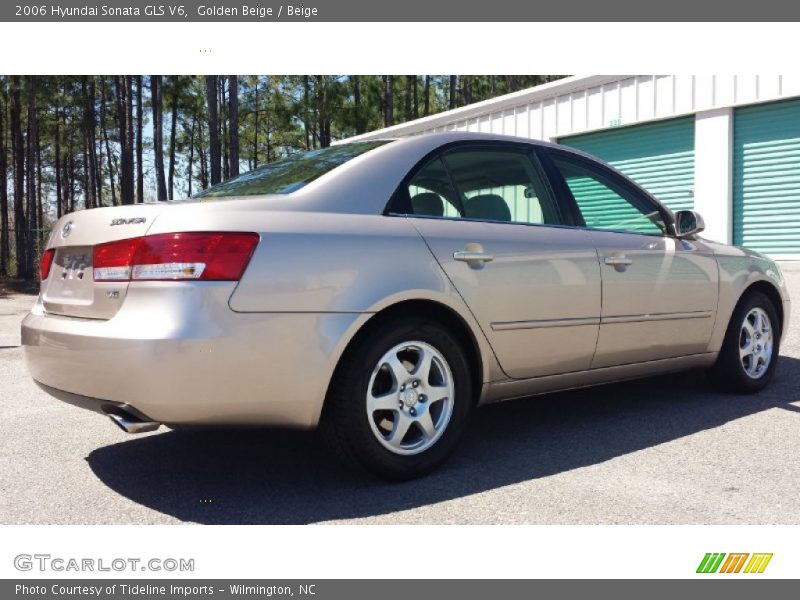 Golden Beige / Beige 2006 Hyundai Sonata GLS V6