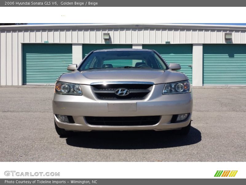 Golden Beige / Beige 2006 Hyundai Sonata GLS V6