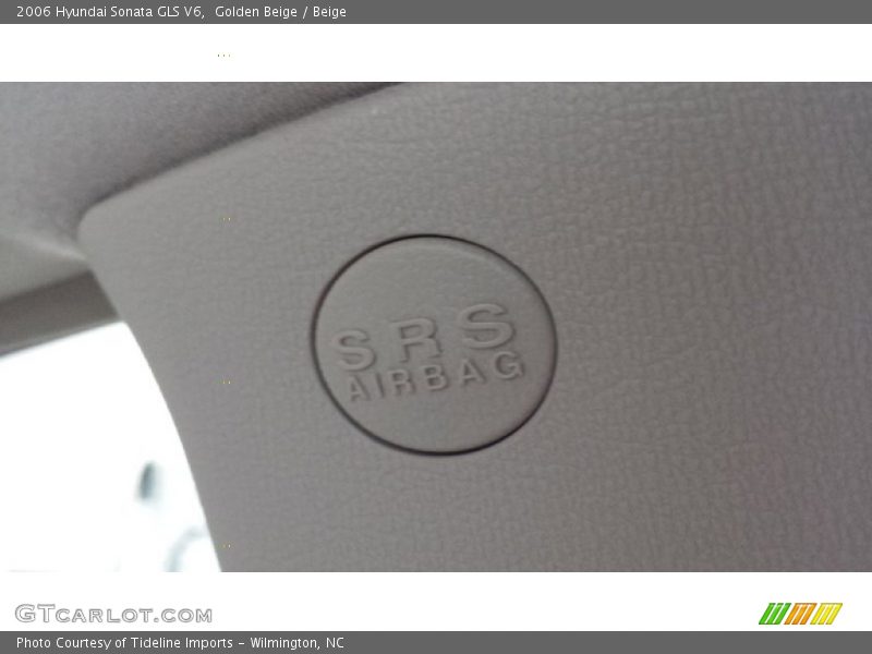 Golden Beige / Beige 2006 Hyundai Sonata GLS V6