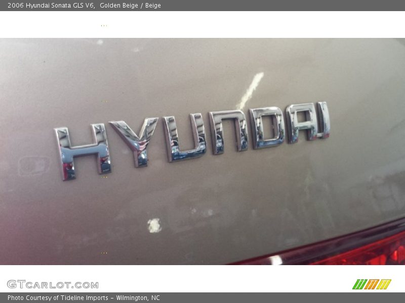 Golden Beige / Beige 2006 Hyundai Sonata GLS V6
