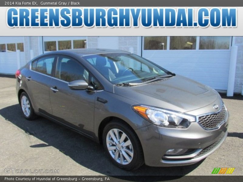 Gunmetal Gray / Black 2014 Kia Forte EX