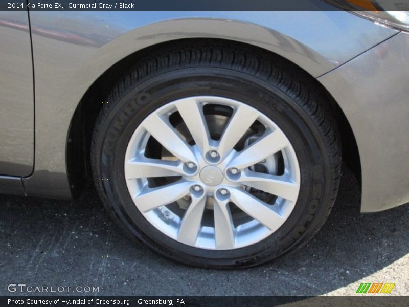 Gunmetal Gray / Black 2014 Kia Forte EX