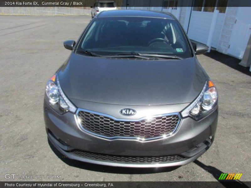 Gunmetal Gray / Black 2014 Kia Forte EX