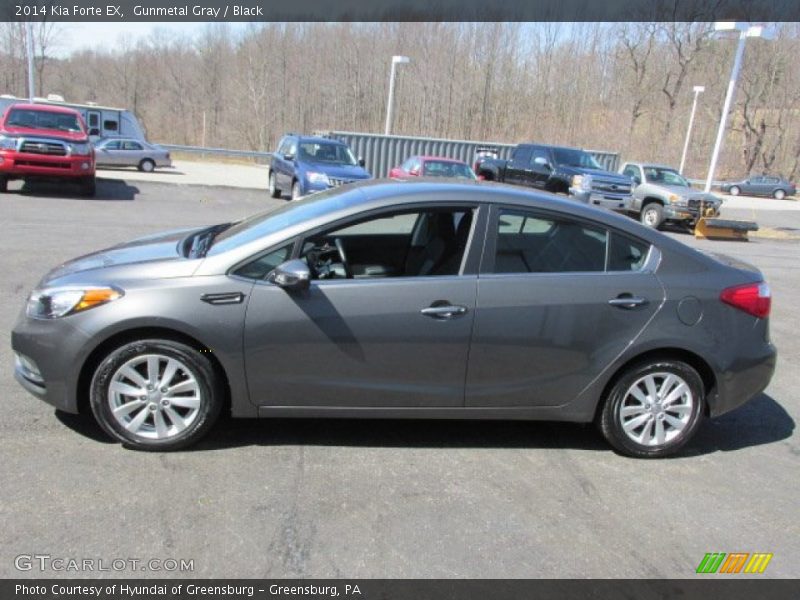 Gunmetal Gray / Black 2014 Kia Forte EX