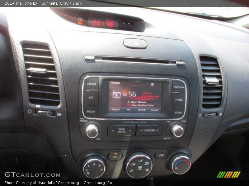 Gunmetal Gray / Black 2014 Kia Forte EX