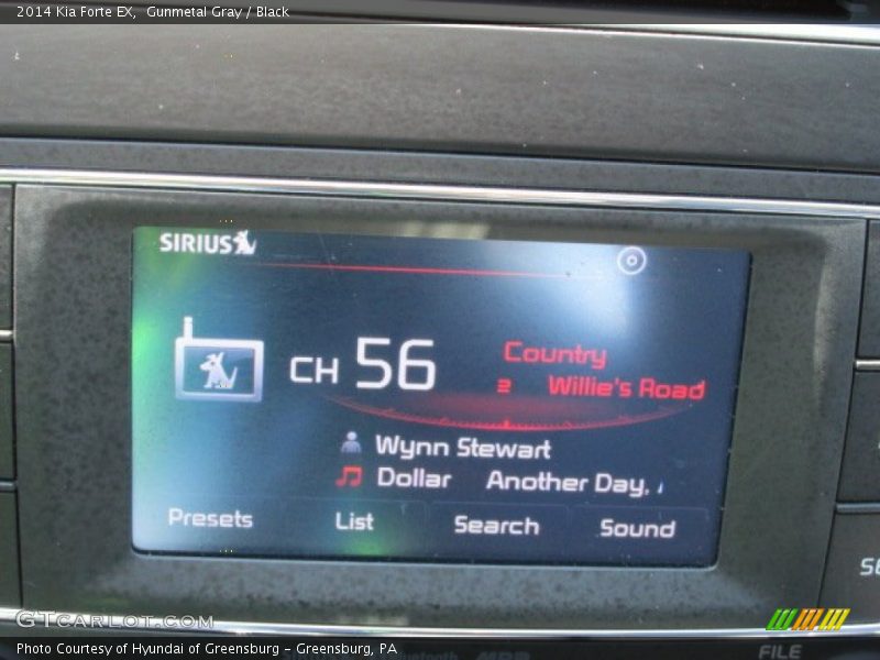 Gunmetal Gray / Black 2014 Kia Forte EX