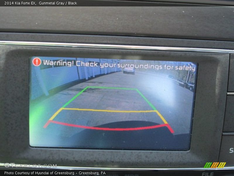 Gunmetal Gray / Black 2014 Kia Forte EX