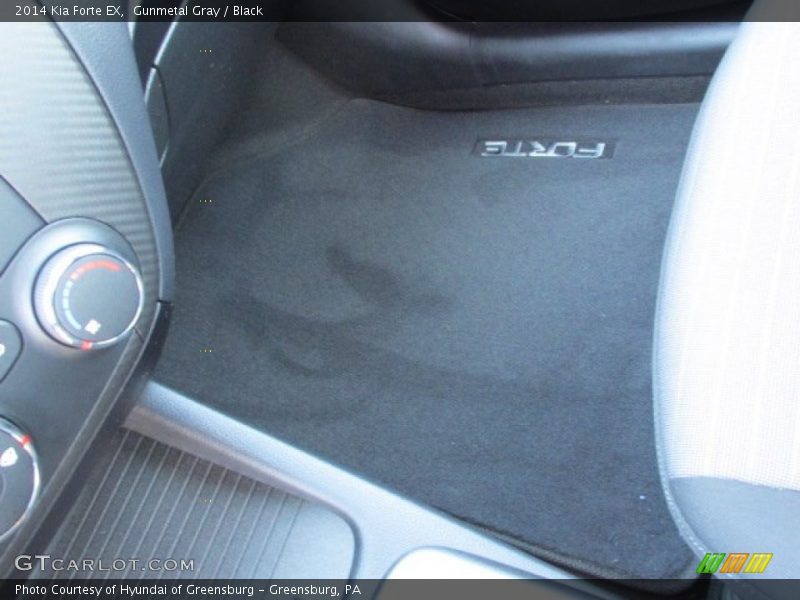 Gunmetal Gray / Black 2014 Kia Forte EX