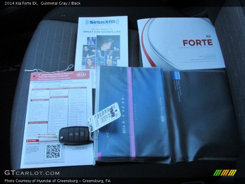 Gunmetal Gray / Black 2014 Kia Forte EX