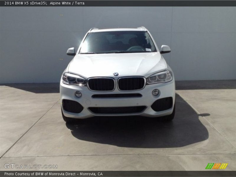 Alpine White / Terra 2014 BMW X5 sDrive35i