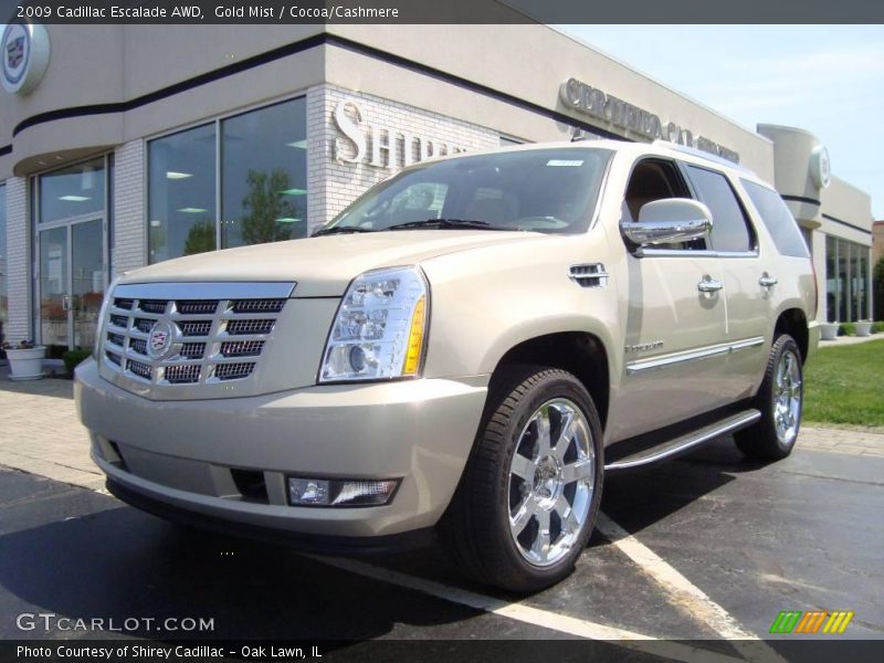 Gold Mist / Cocoa/Cashmere 2009 Cadillac Escalade AWD