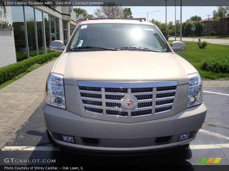 Gold Mist / Cocoa/Cashmere 2009 Cadillac Escalade AWD