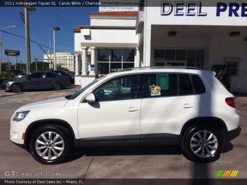 Candy White / Charcoal 2011 Volkswagen Tiguan SE