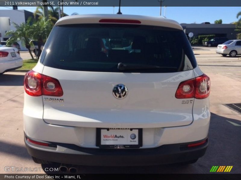 Candy White / Charcoal 2011 Volkswagen Tiguan SE