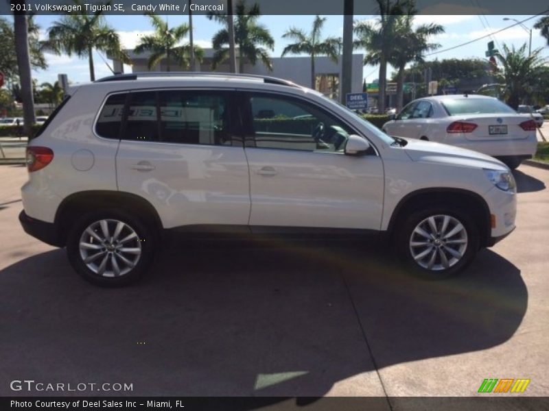 Candy White / Charcoal 2011 Volkswagen Tiguan SE
