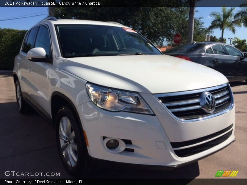 Candy White / Charcoal 2011 Volkswagen Tiguan SE