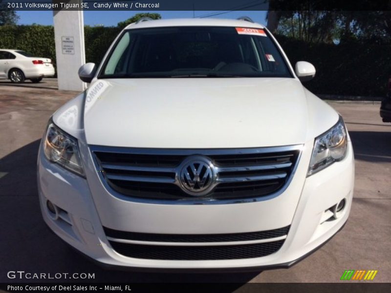 Candy White / Charcoal 2011 Volkswagen Tiguan SE