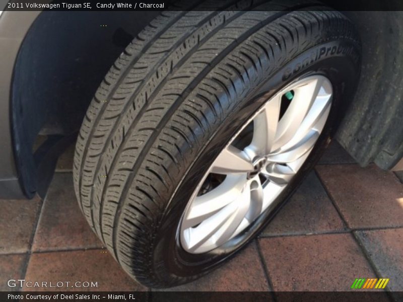 Candy White / Charcoal 2011 Volkswagen Tiguan SE