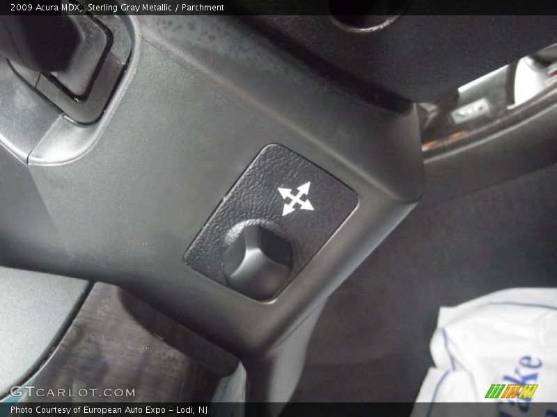 Sterling Gray Metallic / Parchment 2009 Acura MDX