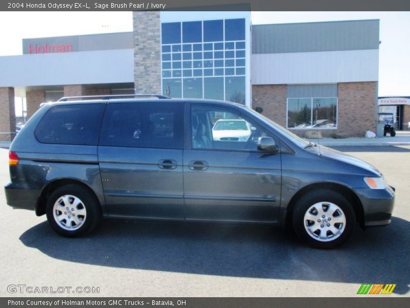 Sage Brush Pearl / Ivory 2004 Honda Odyssey EX-L