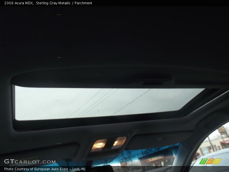Sterling Gray Metallic / Parchment 2009 Acura MDX