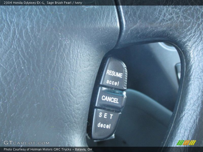Sage Brush Pearl / Ivory 2004 Honda Odyssey EX-L