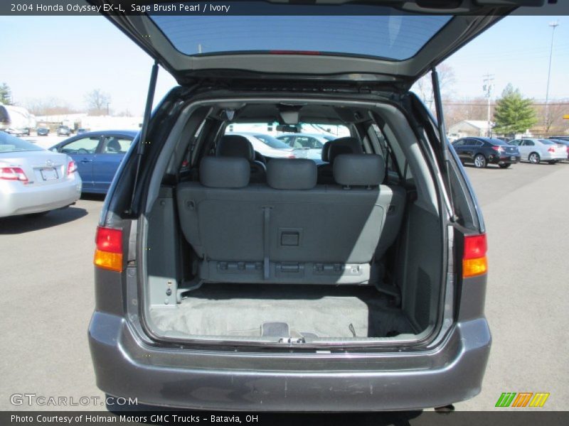 Sage Brush Pearl / Ivory 2004 Honda Odyssey EX-L
