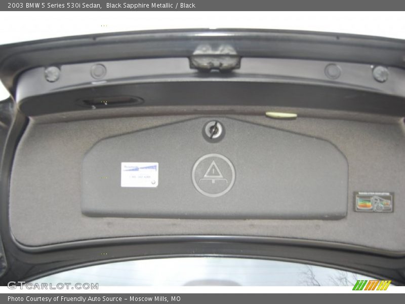 Black Sapphire Metallic / Black 2003 BMW 5 Series 530i Sedan