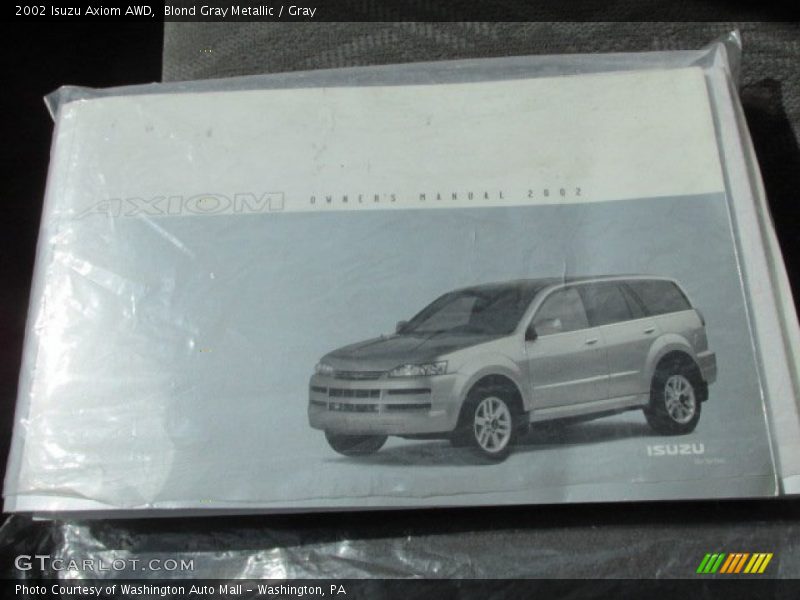 Blond Gray Metallic / Gray 2002 Isuzu Axiom AWD