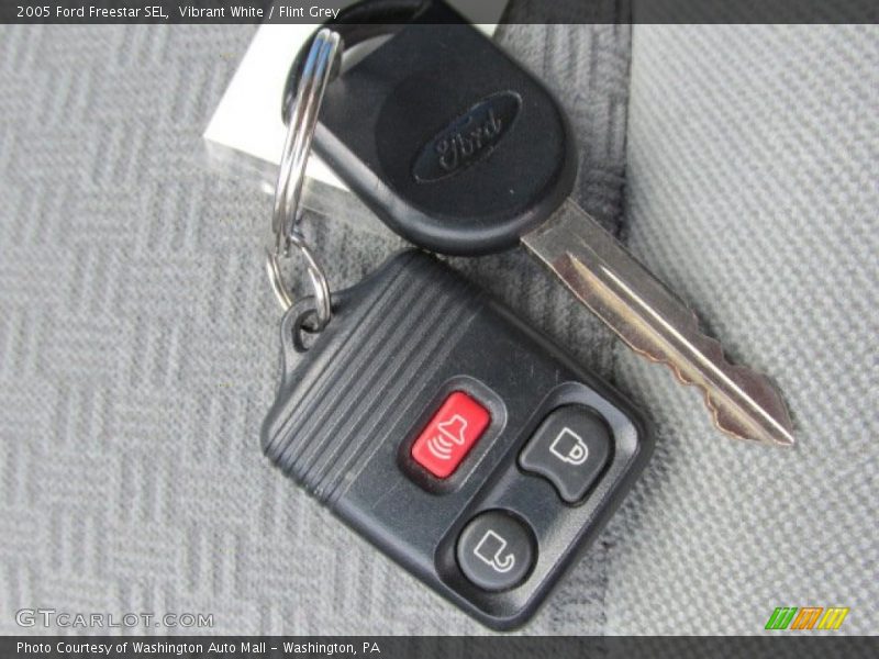 Vibrant White / Flint Grey 2005 Ford Freestar SEL