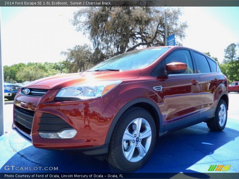 Sunset / Charcoal Black 2014 Ford Escape SE 1.6L EcoBoost