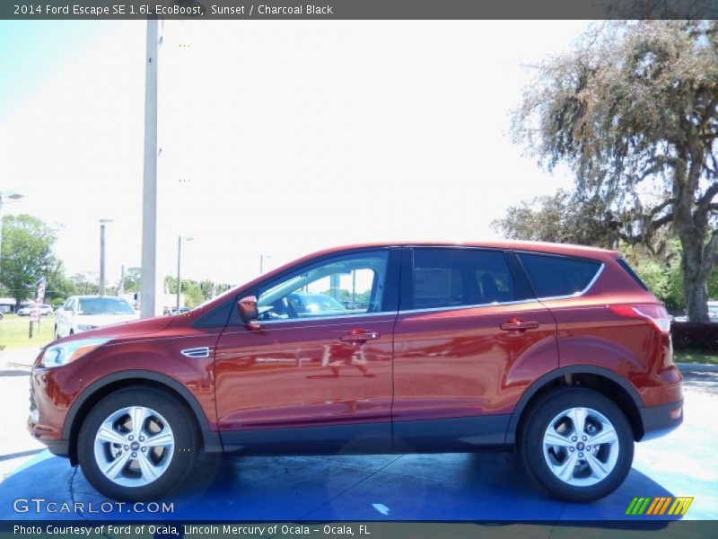 Sunset / Charcoal Black 2014 Ford Escape SE 1.6L EcoBoost