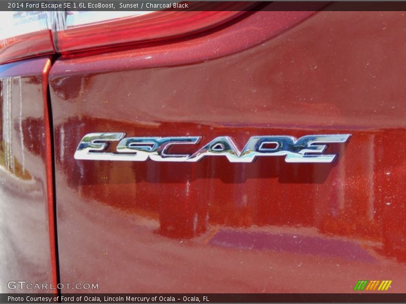 Sunset / Charcoal Black 2014 Ford Escape SE 1.6L EcoBoost