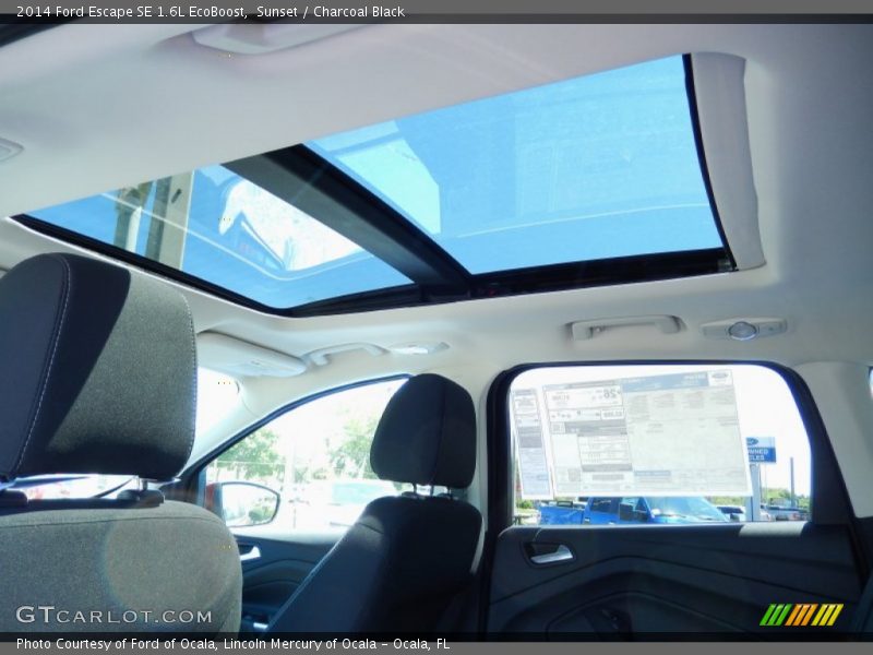 Sunset / Charcoal Black 2014 Ford Escape SE 1.6L EcoBoost
