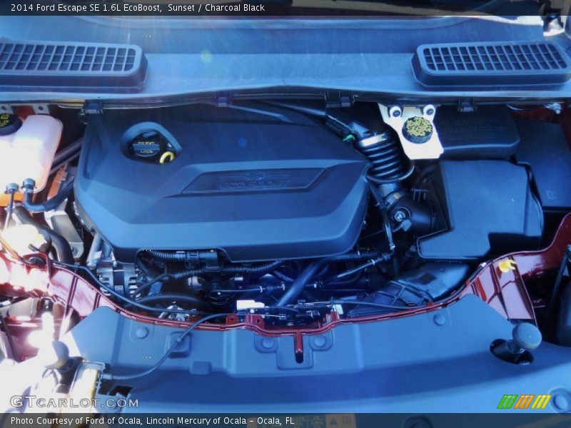 Sunset / Charcoal Black 2014 Ford Escape SE 1.6L EcoBoost