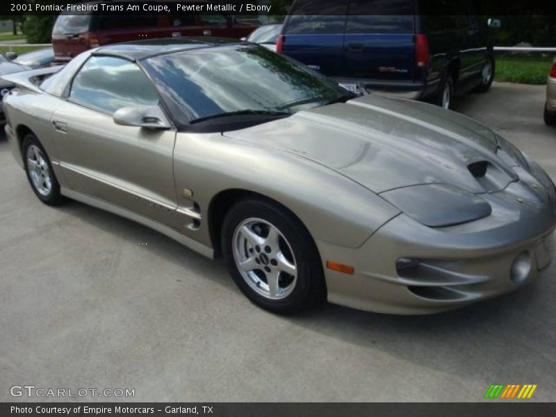 Pewter Metallic / Ebony 2001 Pontiac Firebird Trans Am Coupe