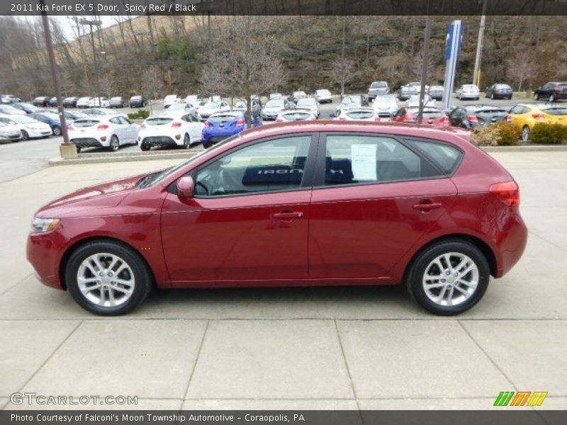 Spicy Red / Black 2011 Kia Forte EX 5 Door