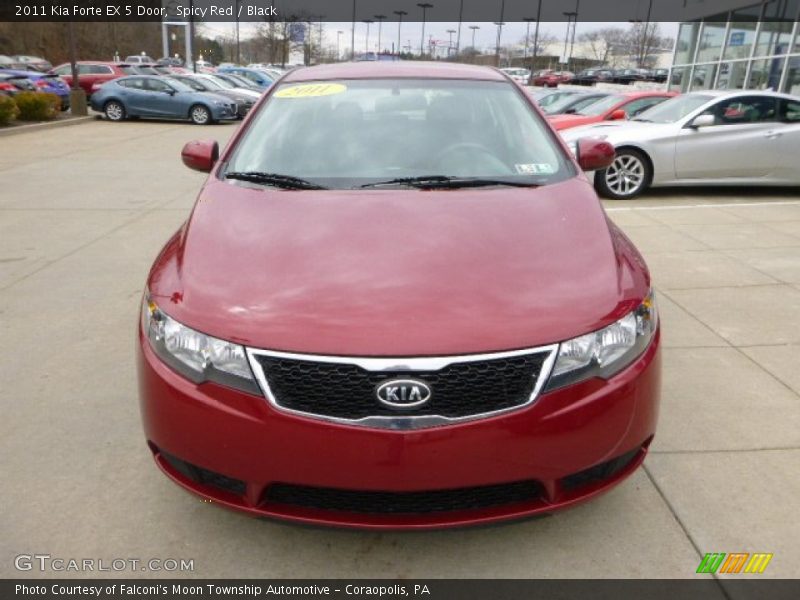 Spicy Red / Black 2011 Kia Forte EX 5 Door