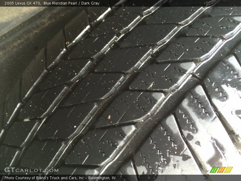 Blue Meridian Pearl / Dark Gray 2005 Lexus GX 470