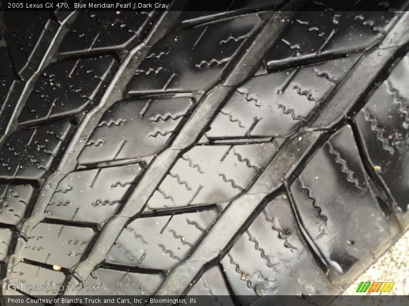 Blue Meridian Pearl / Dark Gray 2005 Lexus GX 470