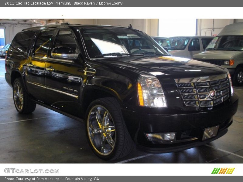 Black Raven / Ebony/Ebony 2011 Cadillac Escalade ESV Premium