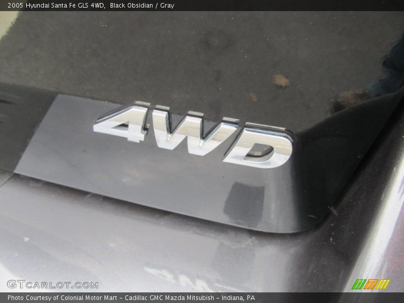 Black Obsidian / Gray 2005 Hyundai Santa Fe GLS 4WD
