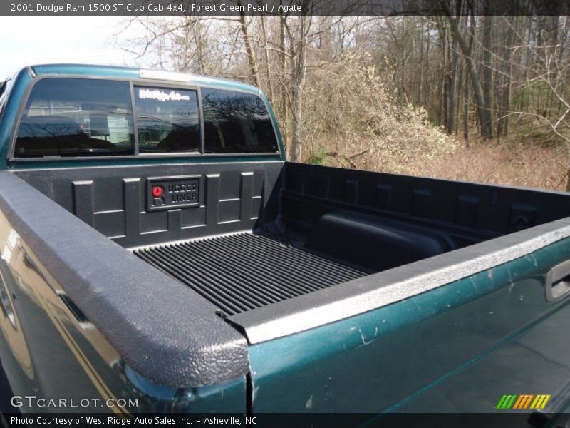 Forest Green Pearl / Agate 2001 Dodge Ram 1500 ST Club Cab 4x4