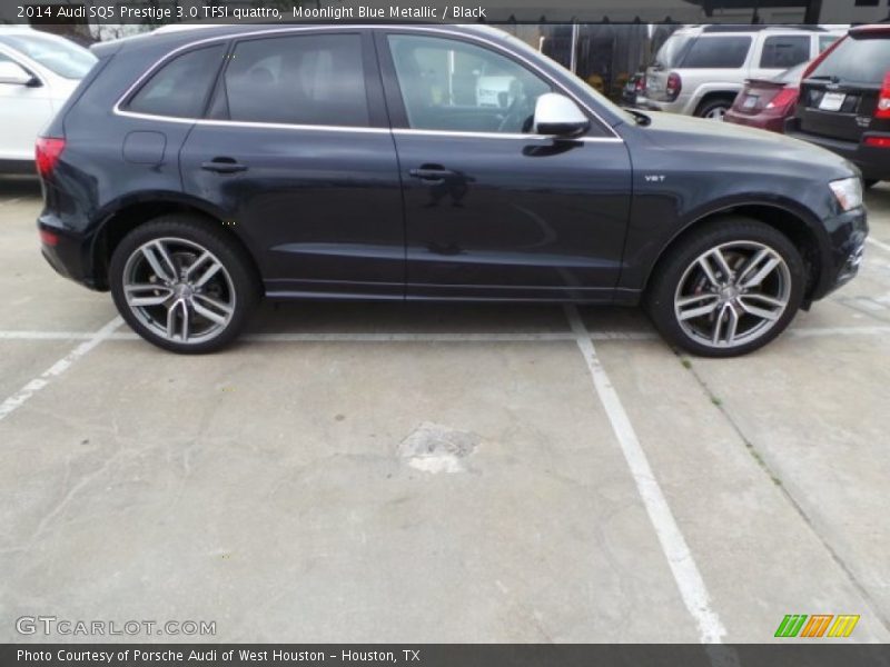 Moonlight Blue Metallic / Black 2014 Audi SQ5 Prestige 3.0 TFSI quattro